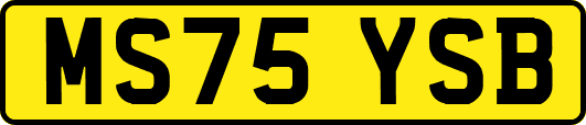 MS75YSB