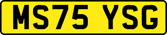 MS75YSG