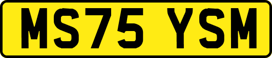 MS75YSM