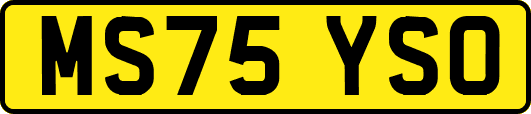 MS75YSO