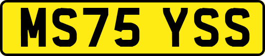 MS75YSS