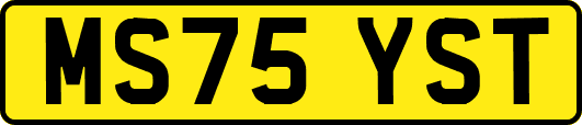 MS75YST