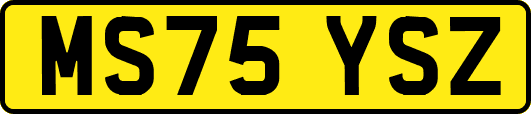 MS75YSZ
