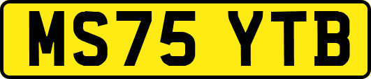 MS75YTB
