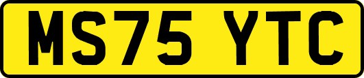 MS75YTC