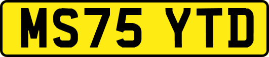 MS75YTD