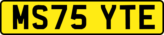 MS75YTE