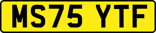 MS75YTF