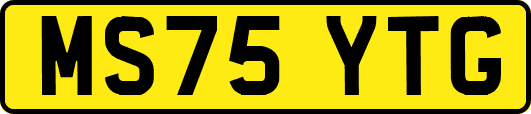 MS75YTG