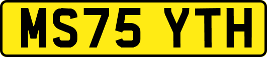 MS75YTH