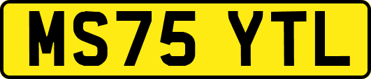 MS75YTL