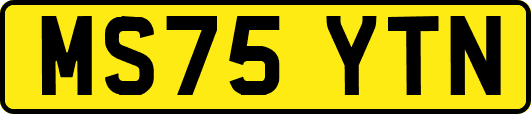 MS75YTN