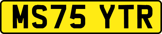 MS75YTR