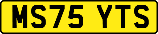 MS75YTS