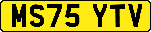 MS75YTV