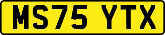 MS75YTX