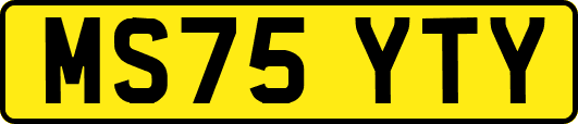 MS75YTY