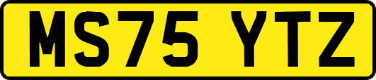 MS75YTZ
