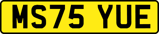 MS75YUE