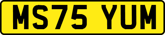 MS75YUM
