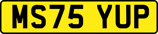 MS75YUP