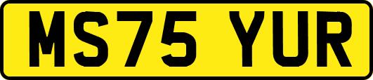 MS75YUR