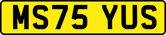 MS75YUS
