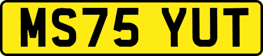 MS75YUT