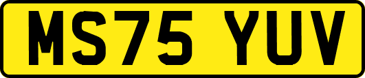 MS75YUV