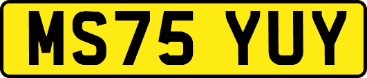 MS75YUY
