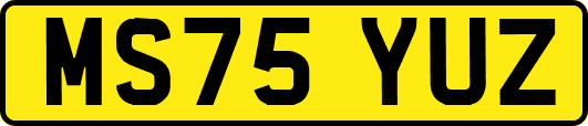MS75YUZ