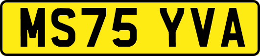 MS75YVA