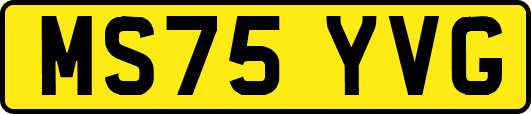 MS75YVG