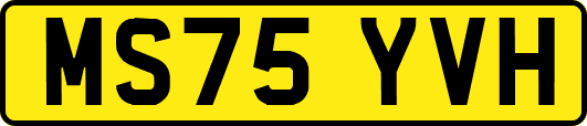 MS75YVH