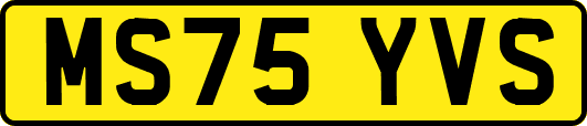 MS75YVS