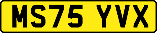 MS75YVX