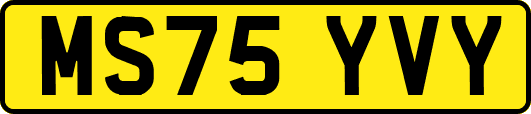 MS75YVY