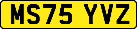 MS75YVZ