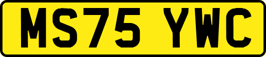 MS75YWC