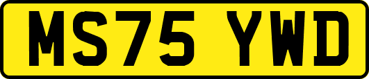 MS75YWD