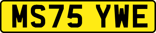 MS75YWE