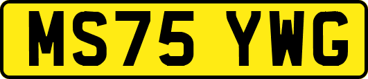 MS75YWG