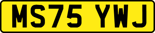 MS75YWJ