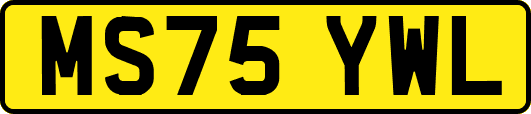 MS75YWL