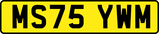MS75YWM