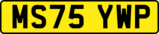 MS75YWP