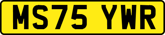 MS75YWR