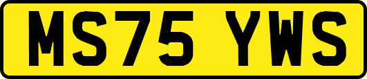 MS75YWS