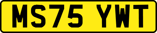 MS75YWT