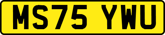 MS75YWU